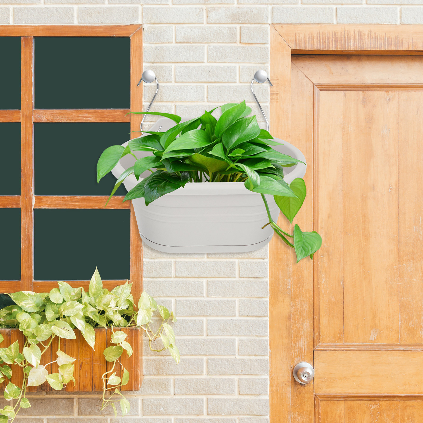 Spider Plant Hanging - 1Set Wall Hanging Flower Pot Set