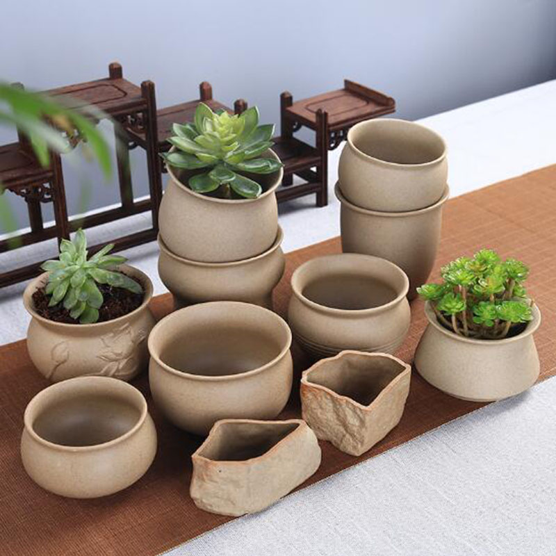 Echeveria Succulent - Retro Coarse Pottery Succulent Plant Pot