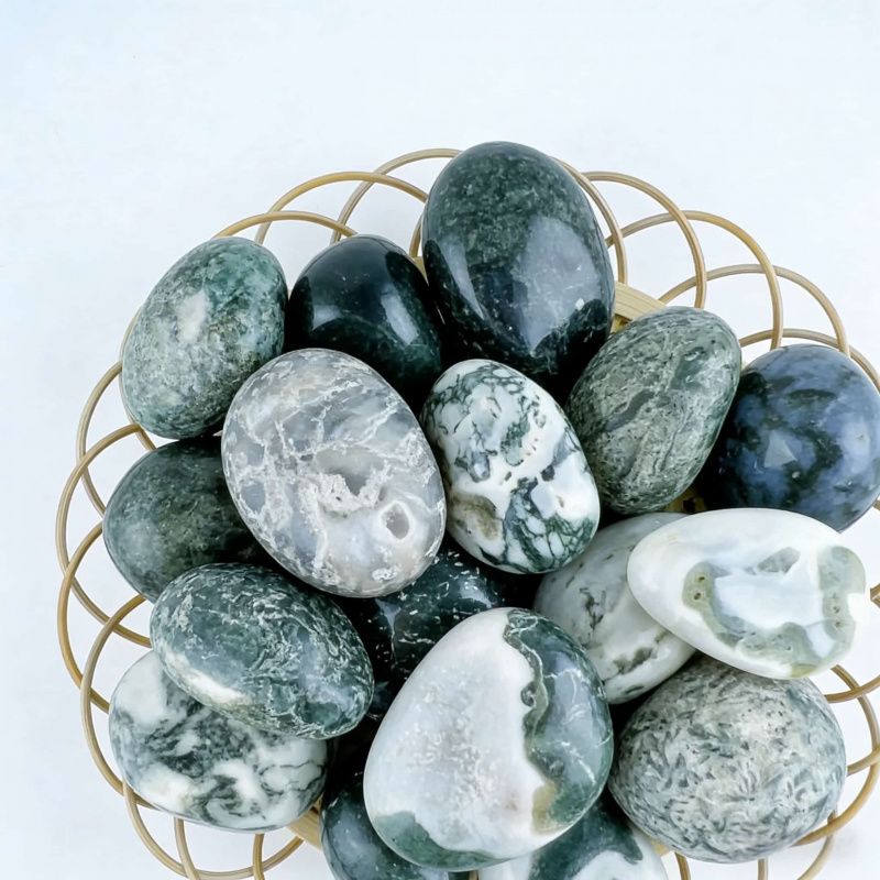 Natural Moss Agate Crushed Sto - Echeveria Succulent 리뷰 및 가격