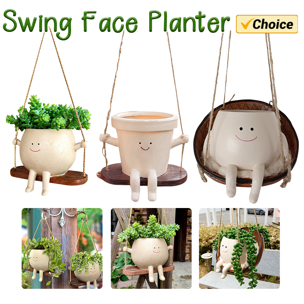 Plant Hanger Baskets Lovely Sw - Echeveria Succulent 리뷰 및 가격