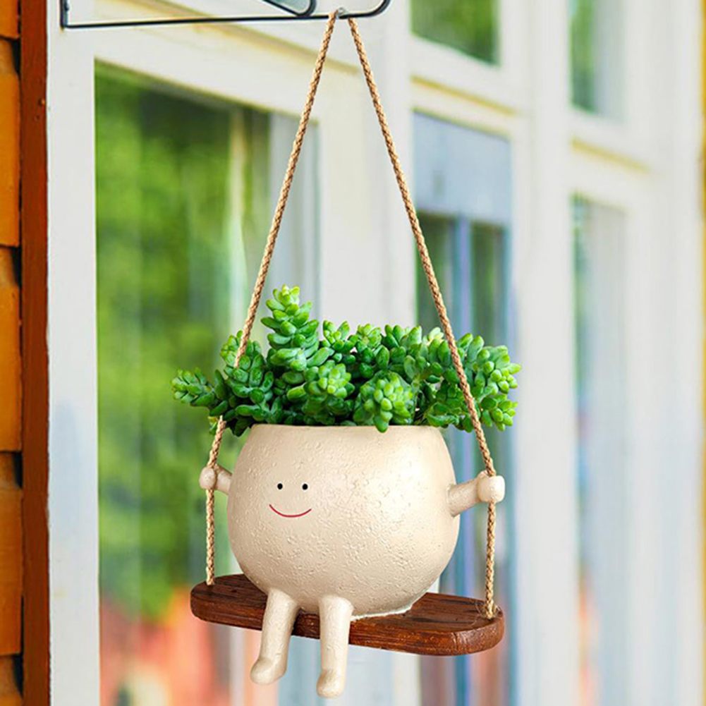 Plant Hanger Baskets Lovely Sw - Echeveria Succulent 리뷰 및 가격