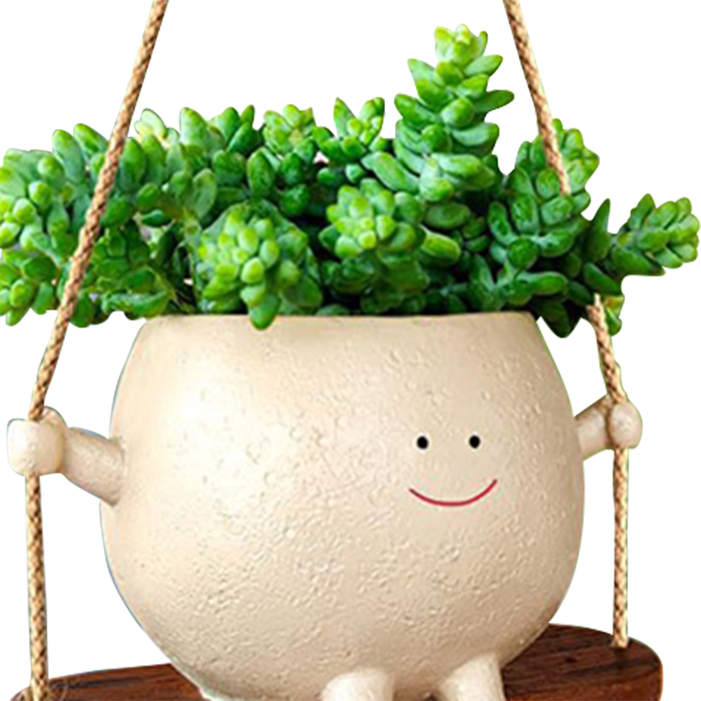 Plant Hanger Baskets Lovely Sw - Echeveria Succulent 리뷰 및 가격