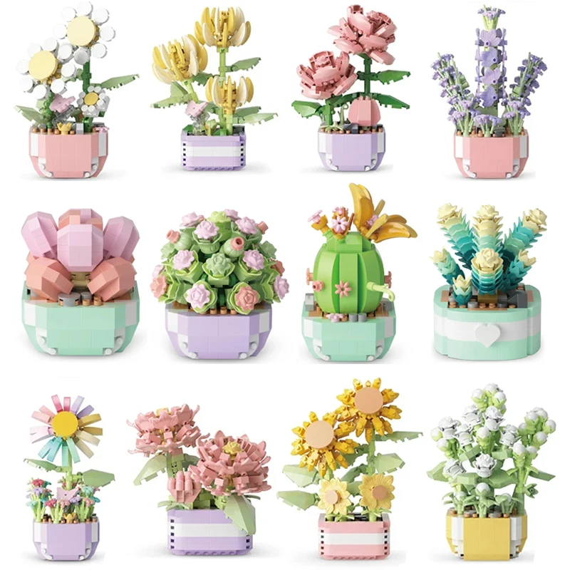 Flower Succulents Building Blo - Echeveria Succulent 리뷰 및 가격