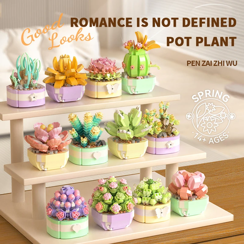 Flower Succulents Building Blo - Echeveria Succulent 리뷰 및 가격