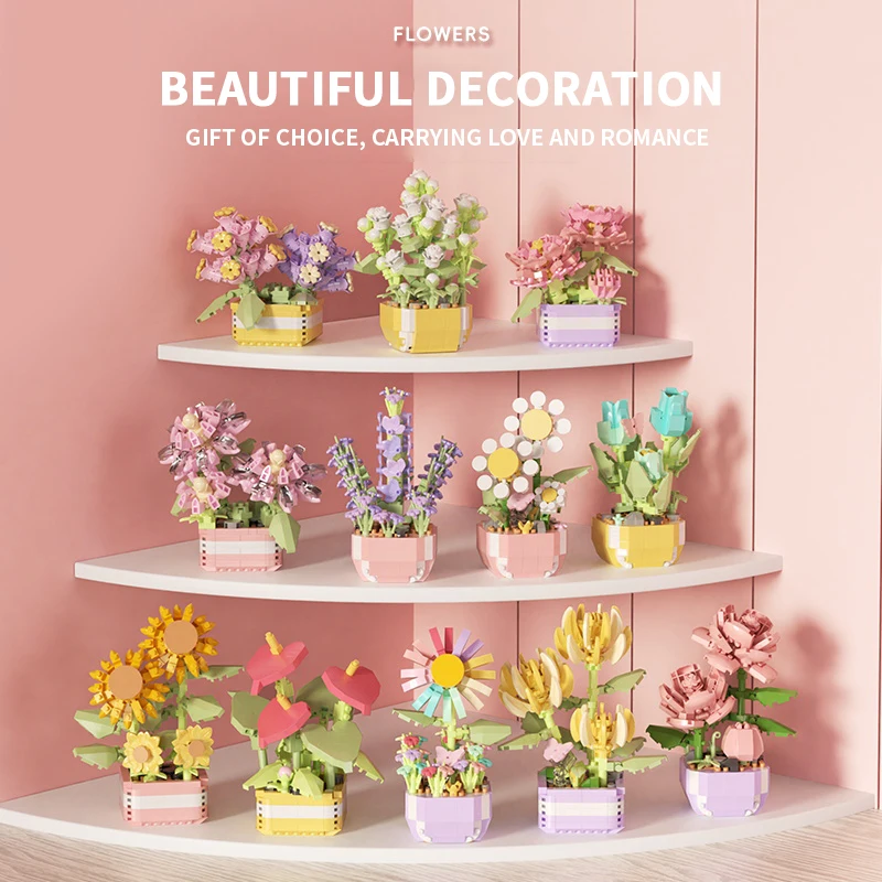 Flower Succulents Building Blo - Echeveria Succulent 리뷰 및 가격