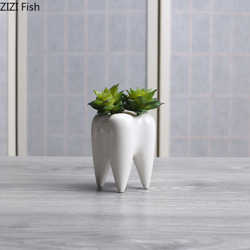 Tooth Shaped Ceramic Flower Po - Echeveria Succulent 리뷰 및 가격