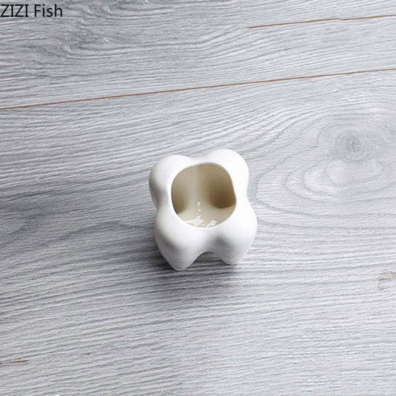 Tooth Shaped Ceramic Flower Po - Echeveria Succulent 리뷰 및 가격