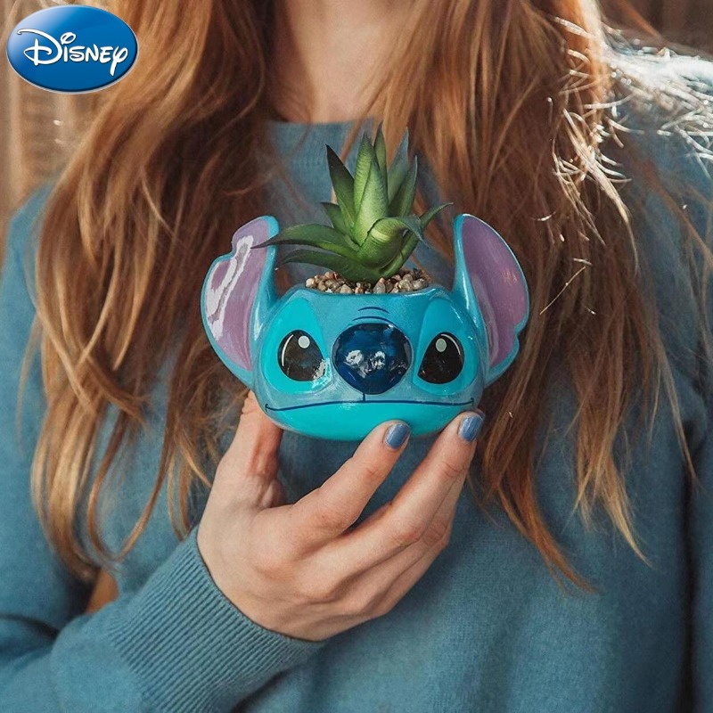 Disney Stitch Decorations Cute - Echeveria Succulent 리뷰 및 가격