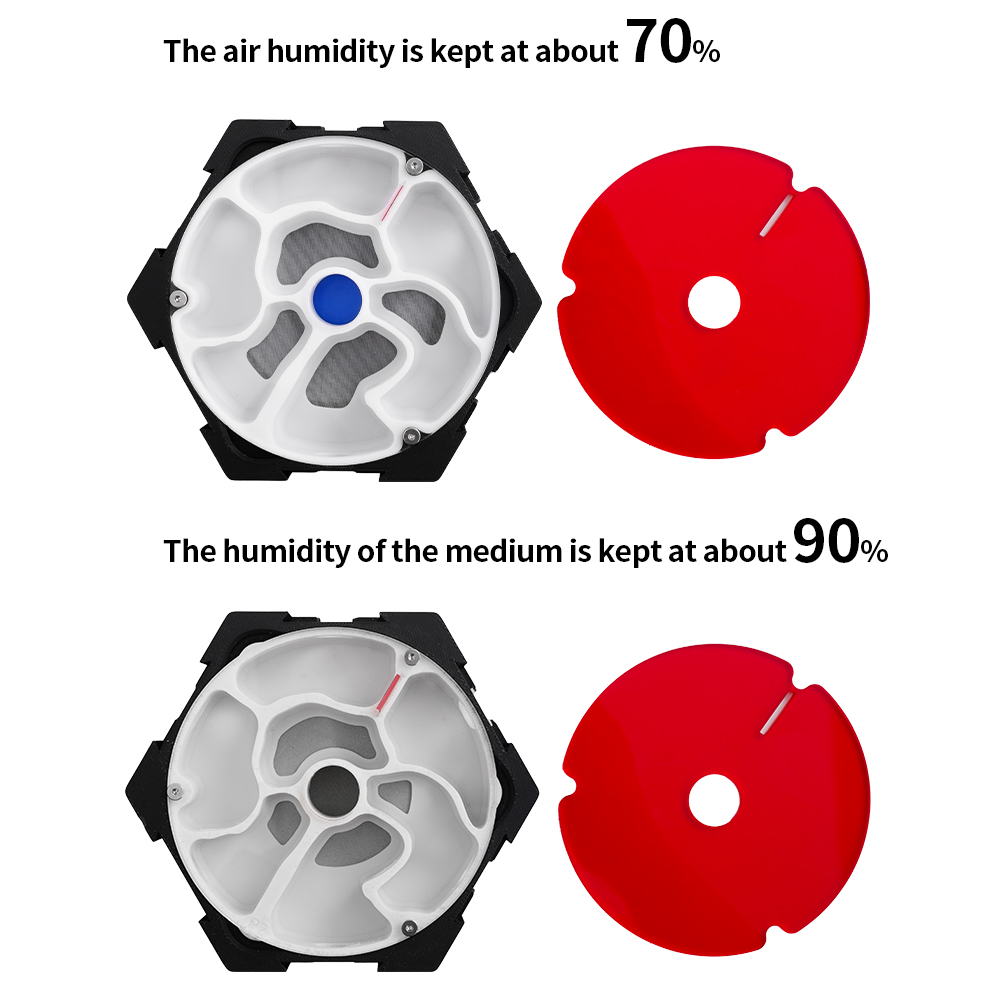 3D Printing Ant Farm Infinitel - Begonia Rex 리뷰 및 가격