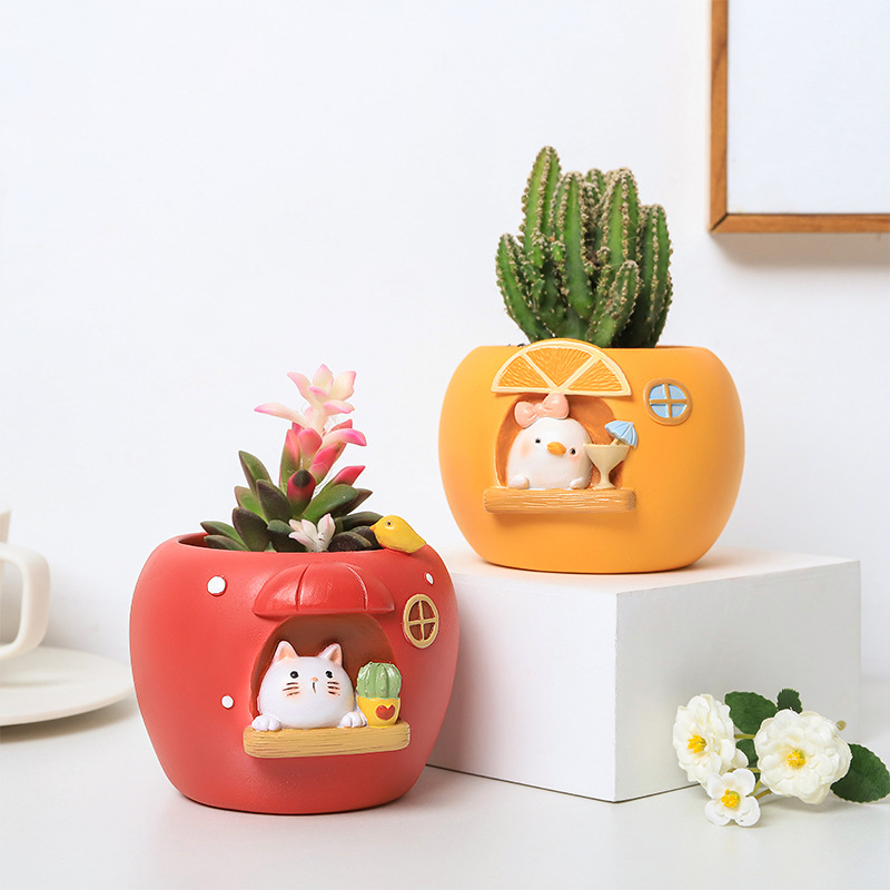 Cute Fruit Themed Planters for - Echeveria Succulent 리뷰 및 가격