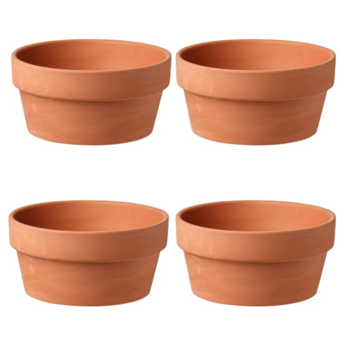 6 PCS Terracotta Buld Pots 3.5 - Pilea Peperomioides 리뷰 및 가격