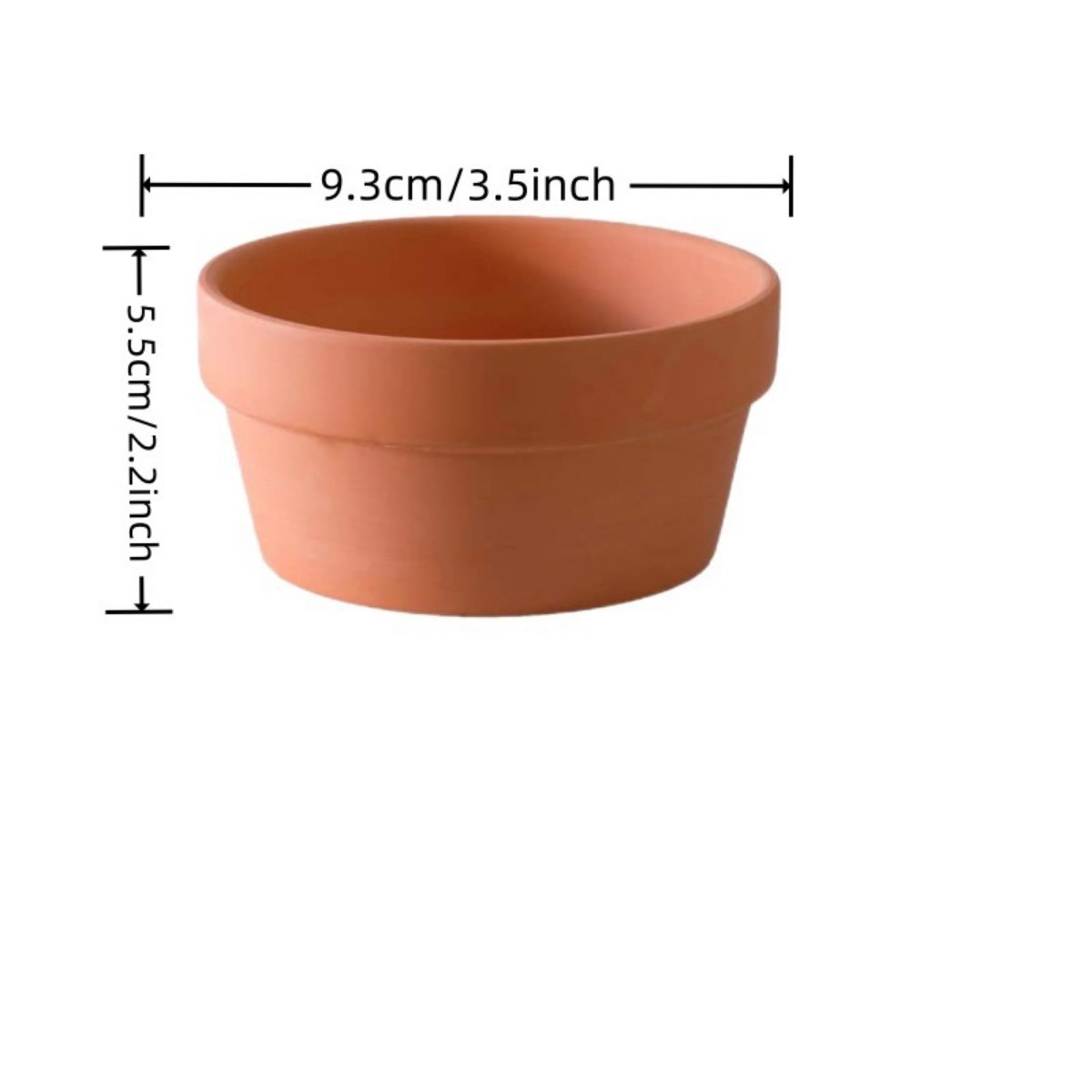 6 PCS Terracotta Buld Pots 3.5 - Pilea Peperomioides 리뷰 및 가격