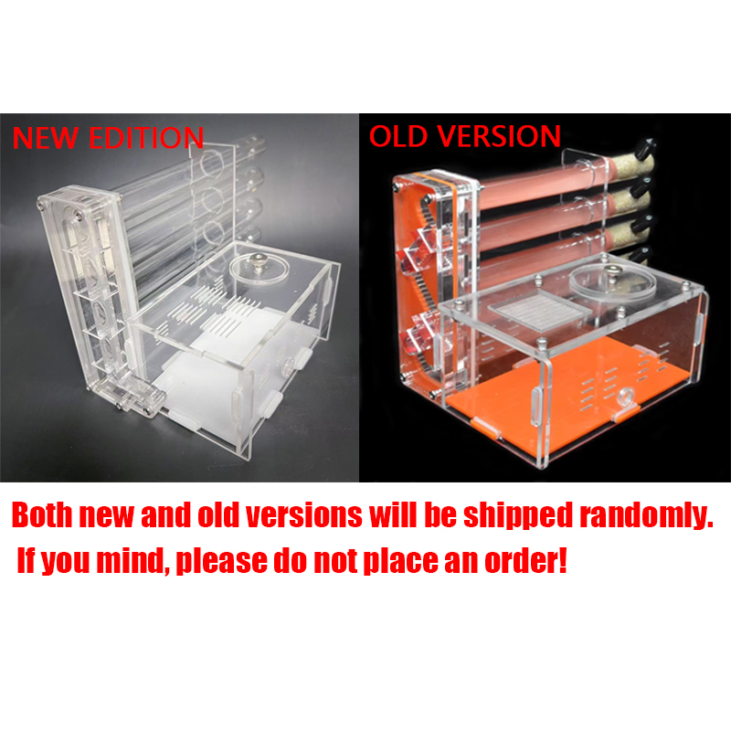 DIY Acrylic Ant Farm 5 pcs 18- - Begonia Rex 리뷰 및 가격