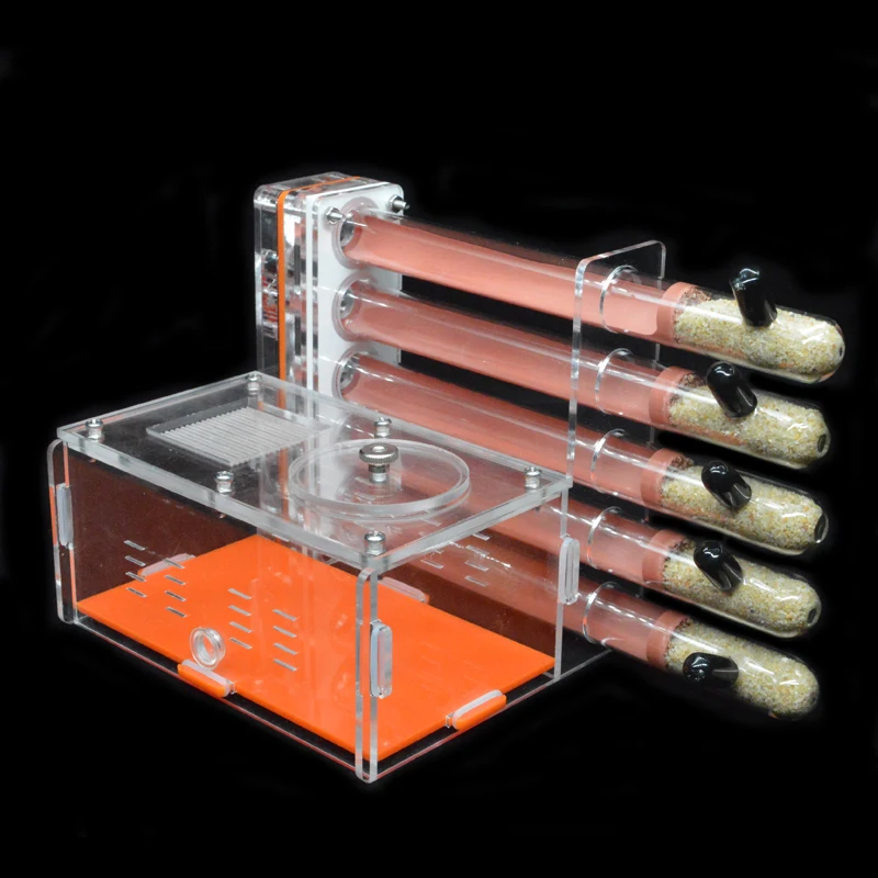 DIY Acrylic Ant Farm 5 pcs 18- - Begonia Rex 리뷰 및 가격