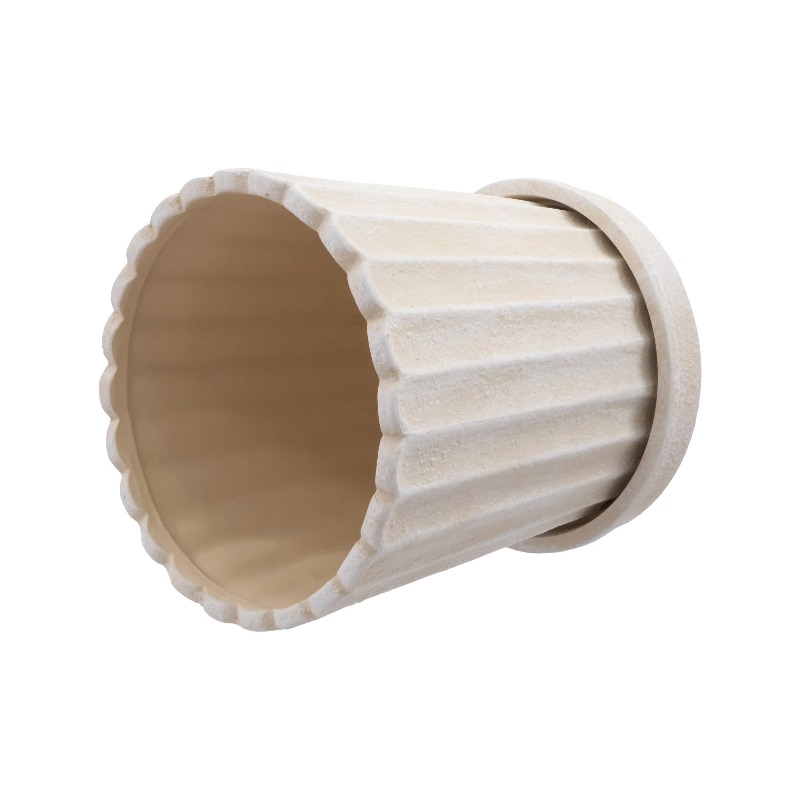 8 Inch Shell Planter Cream Cer - Aloe Vera Pot 리뷰 및 가격