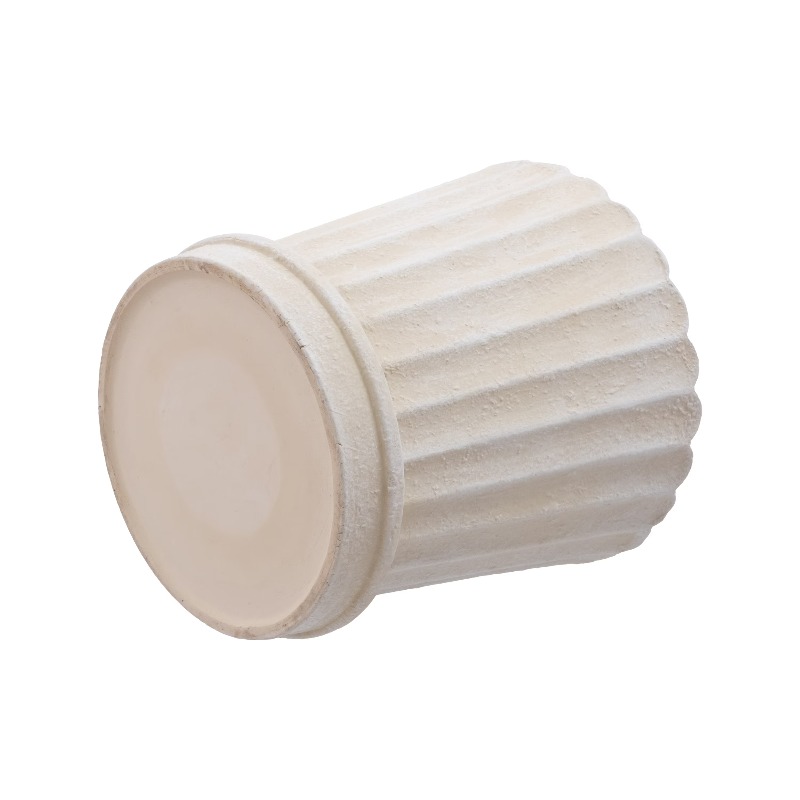 8 Inch Shell Planter Cream Cer - Aloe Vera Pot 리뷰 및 가격