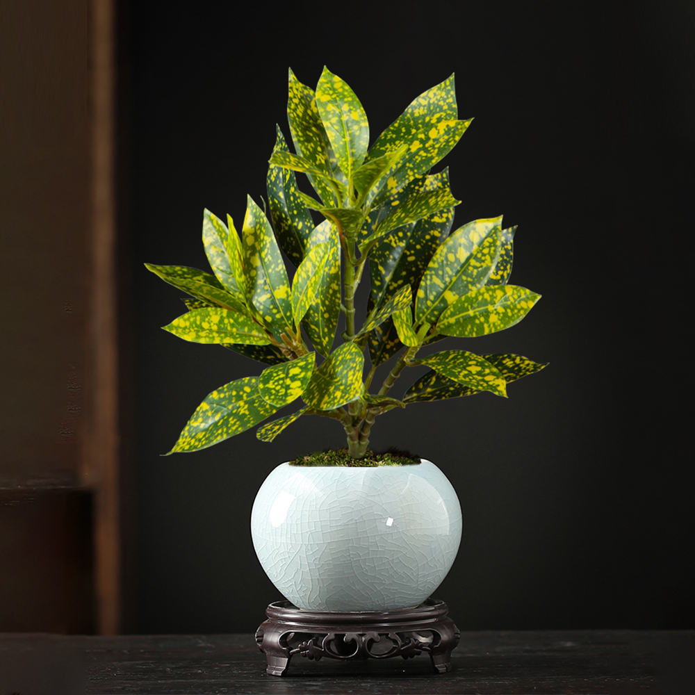 24-41cm Artificial Ficus Tree  - Ficus Lyrata Tree 리뷰 및 가격