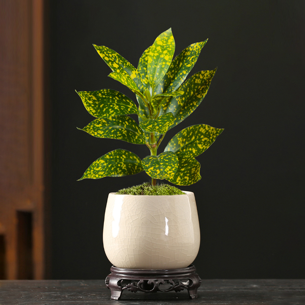 24-41cm Artificial Ficus Tree  - Ficus Lyrata Tree 리뷰 및 가격