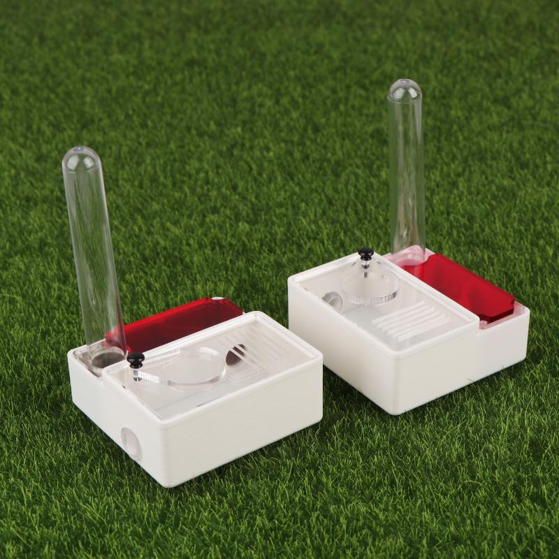 【Peace】3D Printed Ant Farm Que - Begonia Rex 리뷰 및 가격