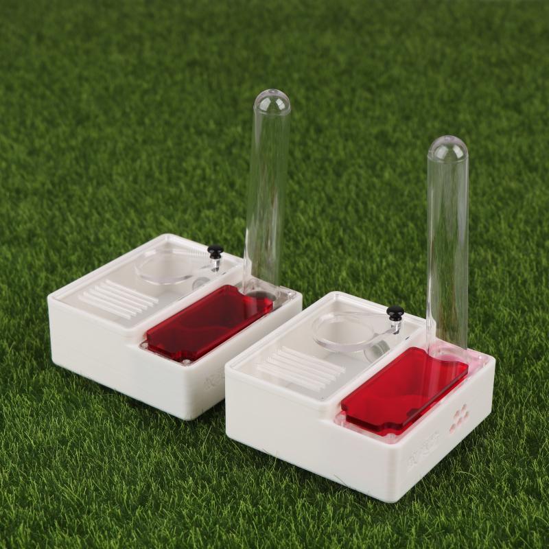 【Peace】3D Printed Ant Farm Que - Begonia Rex 리뷰 및 가격