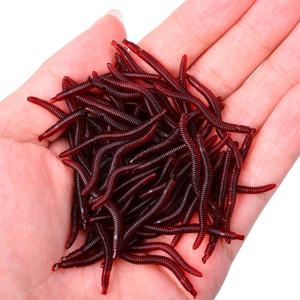 50pcs Lifelike Red Worm Soft L - Aglaonema Red 리뷰 및 가격