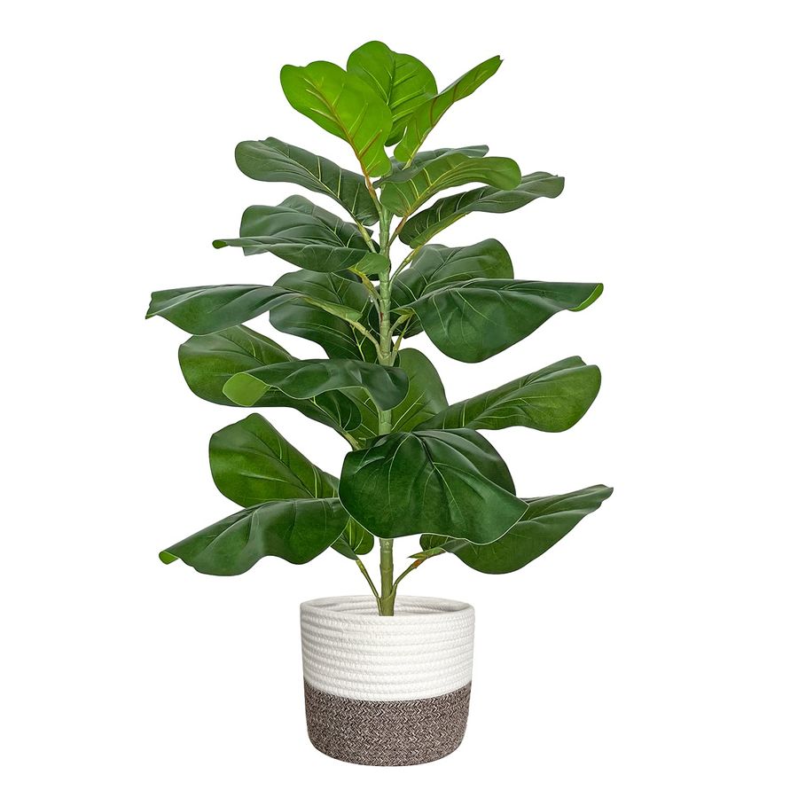 Artificial Fiddle Leaf Fig Tre - Ficus Lyrata Tree 리뷰 및 가격
