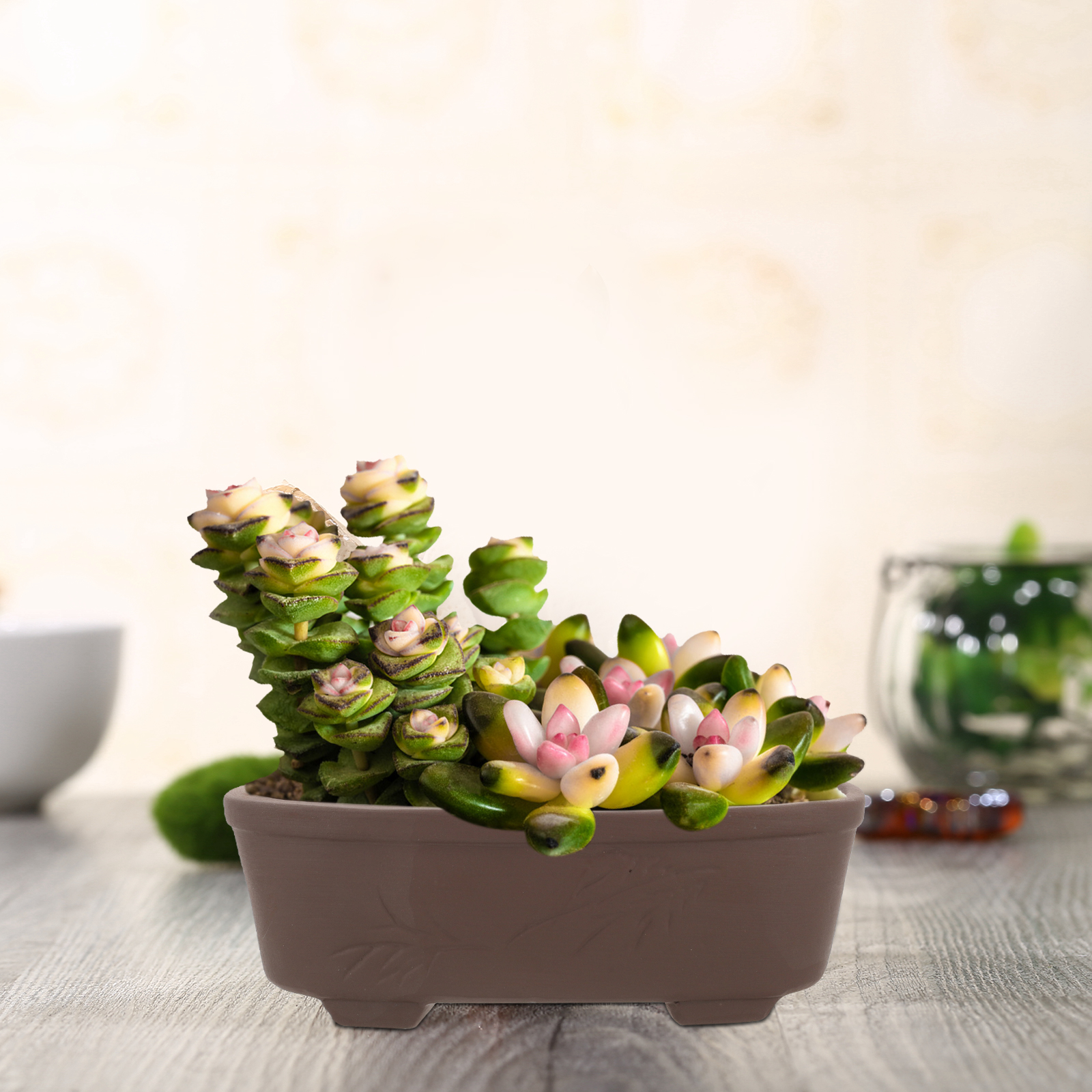 Handmade Vintage Style Clay Te - Echeveria Succulent 리뷰 및 가격