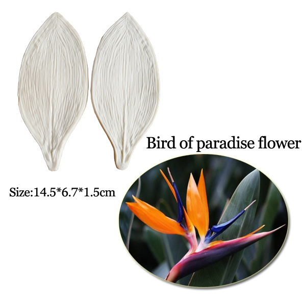 Large Gumpaste Strelitzia Bird - Bird Paradise Strelitzia 리뷰 및 가격