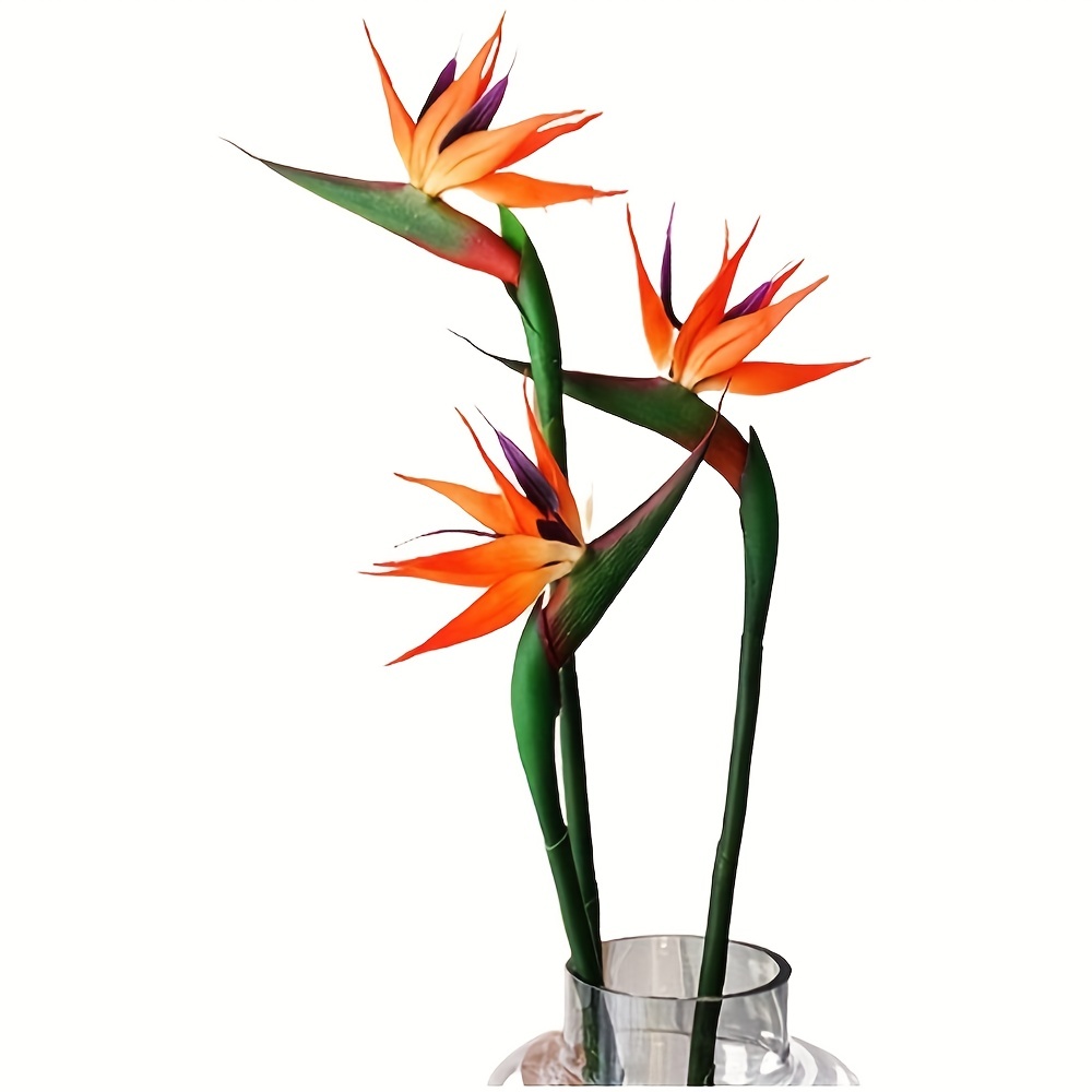 3Pcs Artificial Heaven Bird Fl - Bird Paradise Strelitzia 리뷰 및 가격