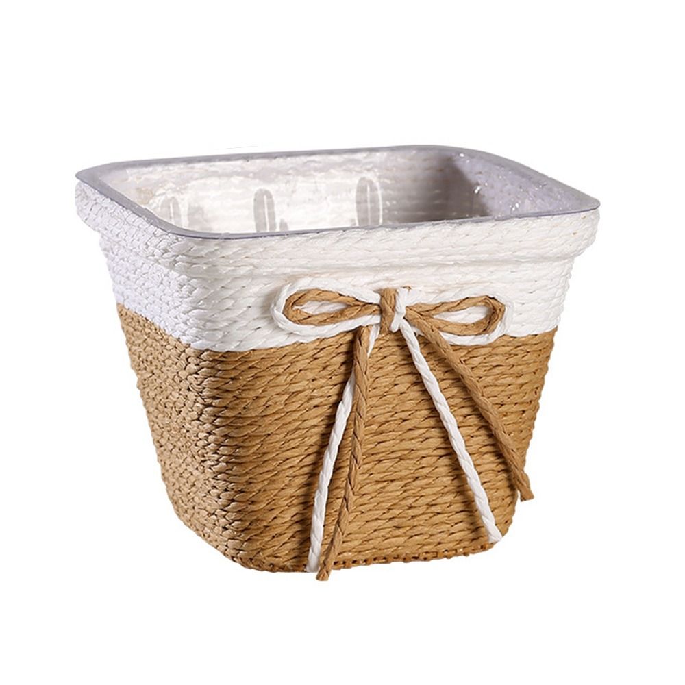 Paper Rope Braided Braided Flo - Aloe Vera Pot 리뷰 및 가격