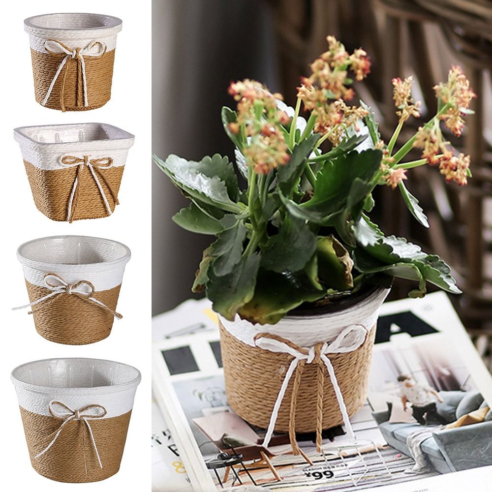 Paper Rope Braided Braided Flo - Aloe Vera Pot 리뷰 및 가격