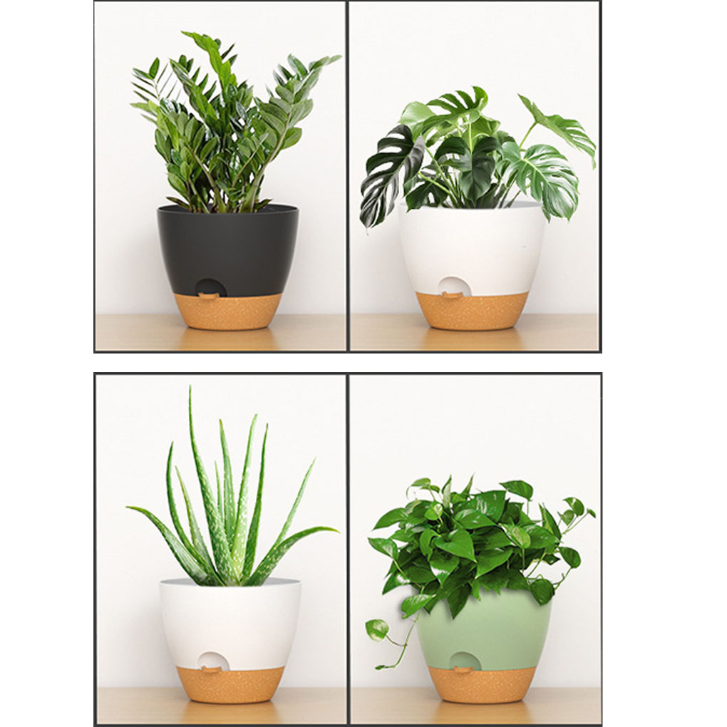 5piece Indoor Flower Pots With - Aloe Vera Pot 리뷰 및 가격