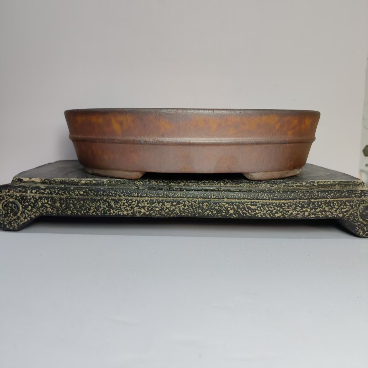 Hot sale Oval Shape Wood-fired - Pilea Peperomioides 리뷰 및 가격