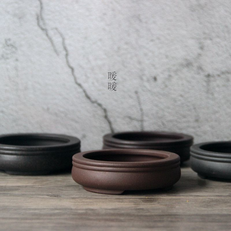 Ceramic Circle Bonsai Pot,Plat - Pilea Peperomioides 리뷰 및 가격