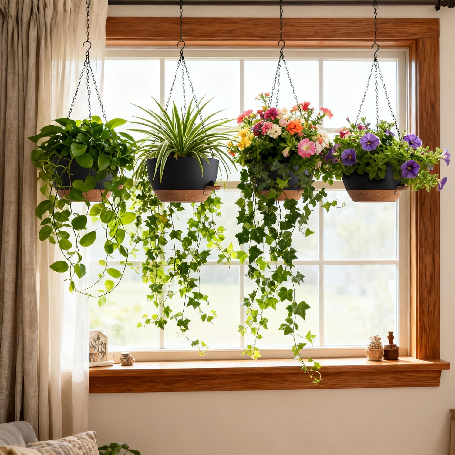 Self Watering Hanging Planters - Spider Plant Hanging 리뷰 및 가격