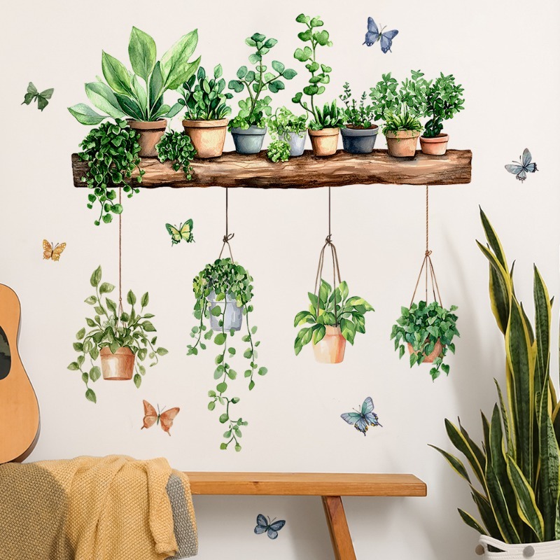 3D Potted Green Plant Shelf Wa - Echeveria Succulent 리뷰 및 가격