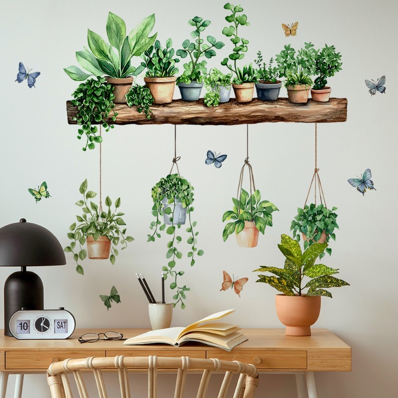 3D Potted Green Plant Shelf Wa - Echeveria Succulent 리뷰 및 가격