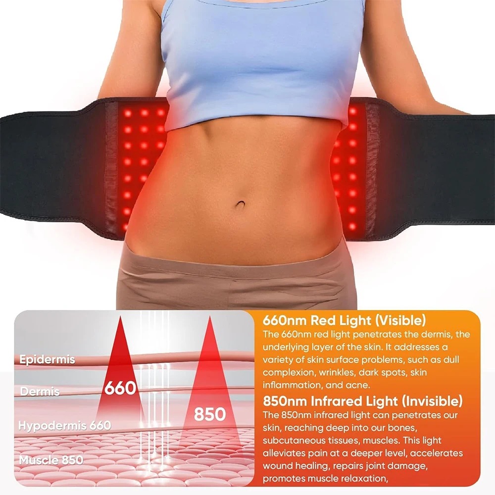LED Red Light Belt 850nm and 6 - Aglaonema Red 리뷰 및 가격