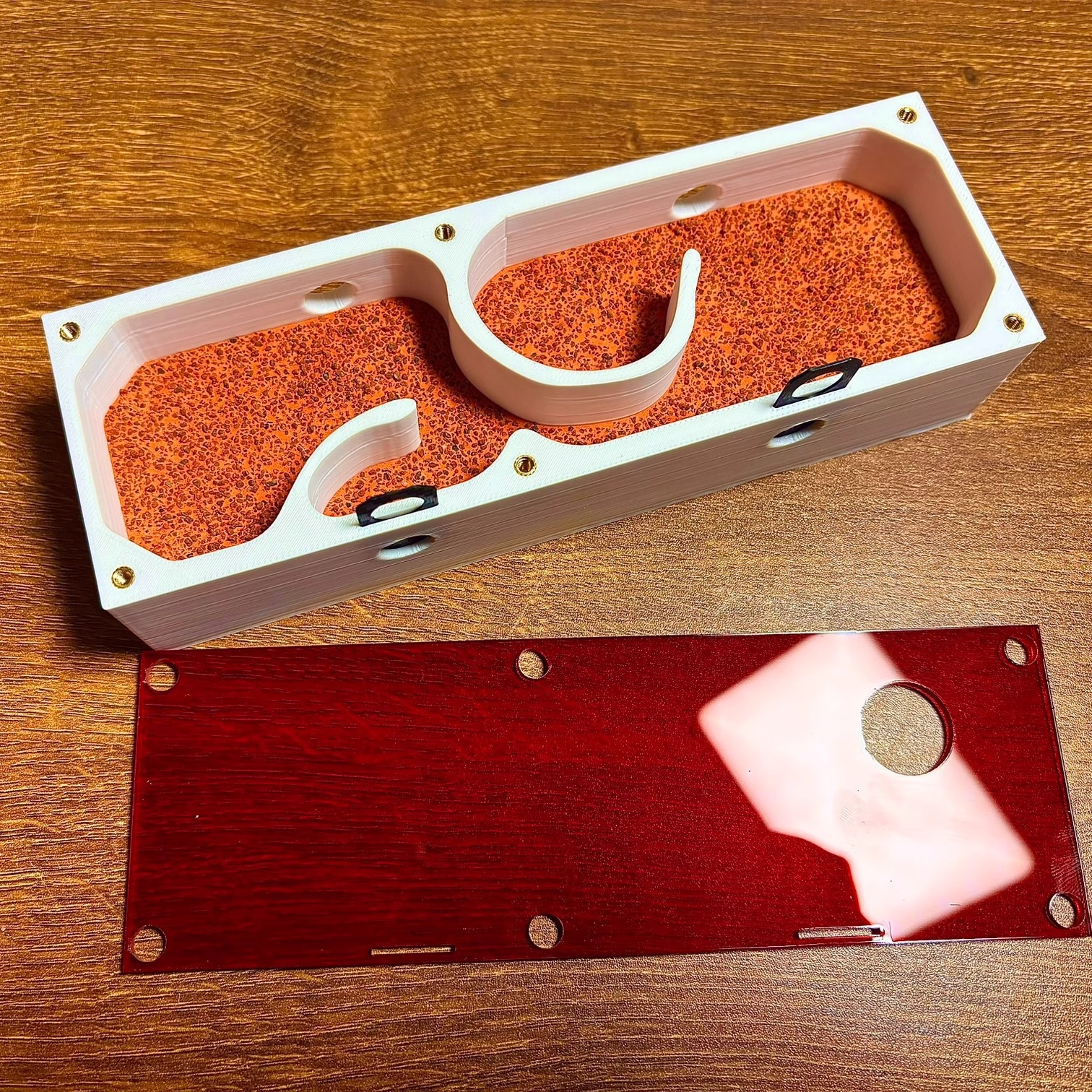 Ant Farm mini CC with External - Begonia Rex 리뷰 및 가격