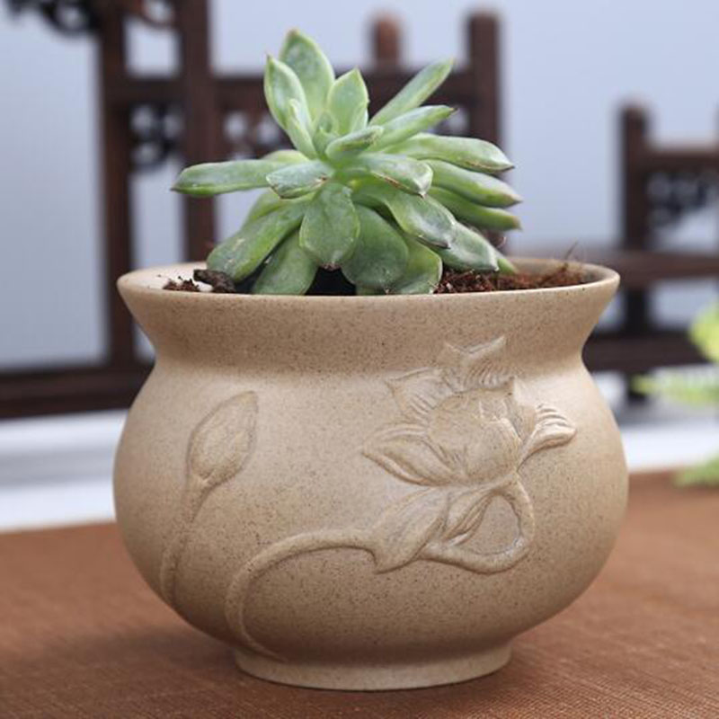 Retro Coarse Pottery Succulent - Echeveria Succulent 리뷰 및 가격