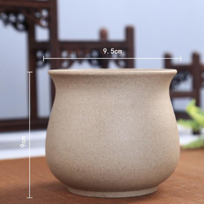 Retro Coarse Pottery Succulent - Echeveria Succulent 리뷰 및 가격