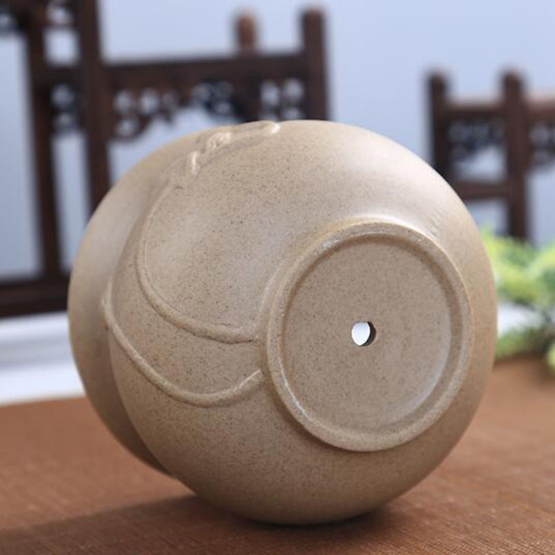 Retro Coarse Pottery Succulent - Echeveria Succulent 리뷰 및 가격
