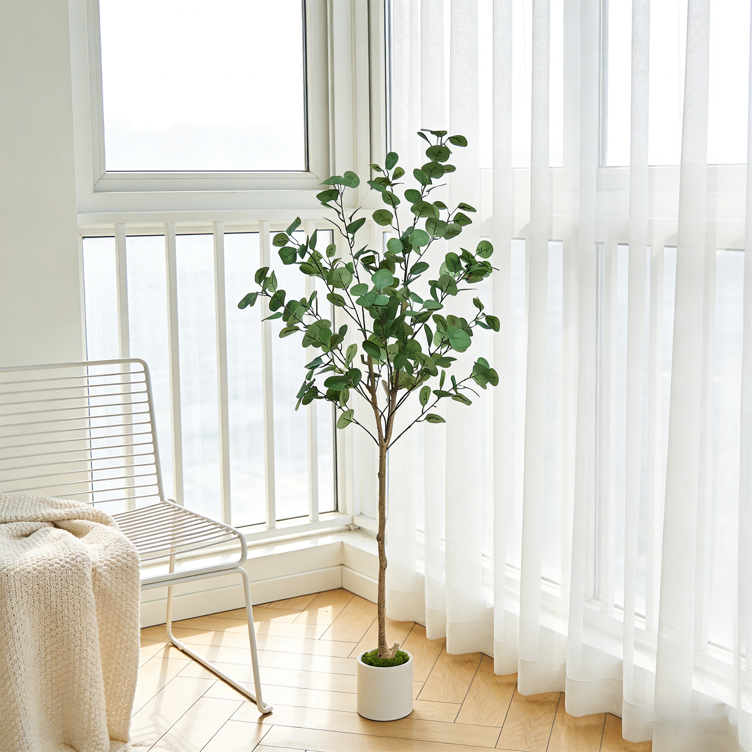 120-155Cm/5.1Ft Artificial Euc - Dracaena Marginata 리뷰 및 가격