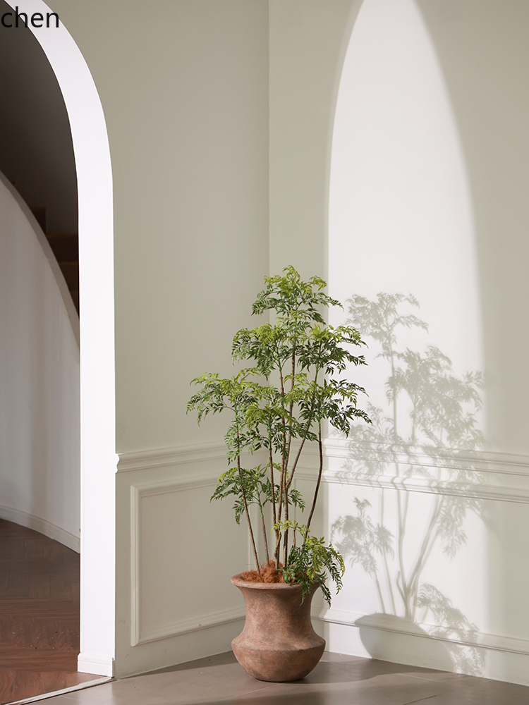 LYY  Floor Vase Green Plant Ar - Ficus Lyrata Tree 리뷰 및 가격
