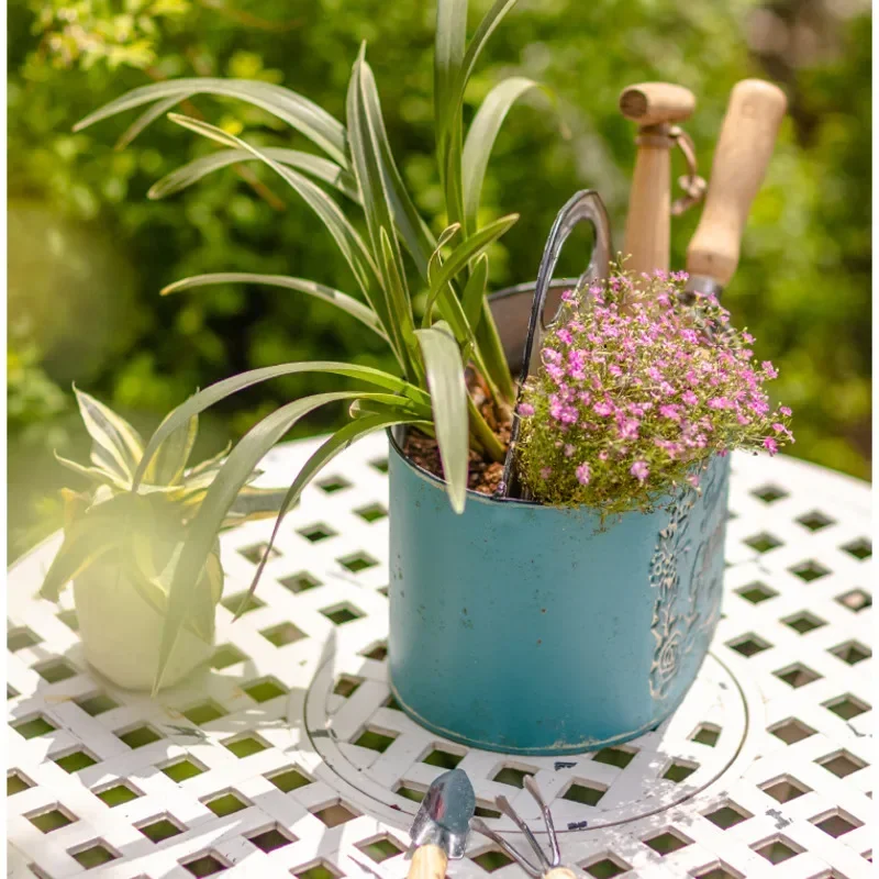 Blue Hanging Wall Planter Aged - Spider Plant Hanging 리뷰 및 가격
