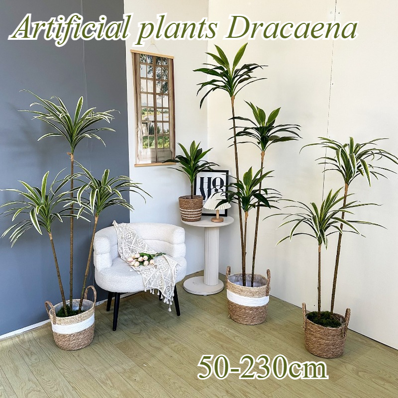 Artificial Dracaena Fake Plant - Dracaena Marginata 리뷰 및 가격