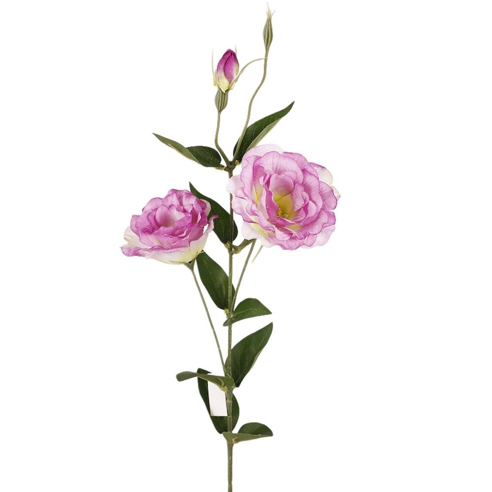 Platycodon Flower Artificial B - Ficus Lyrata Tree 리뷰 및 가격