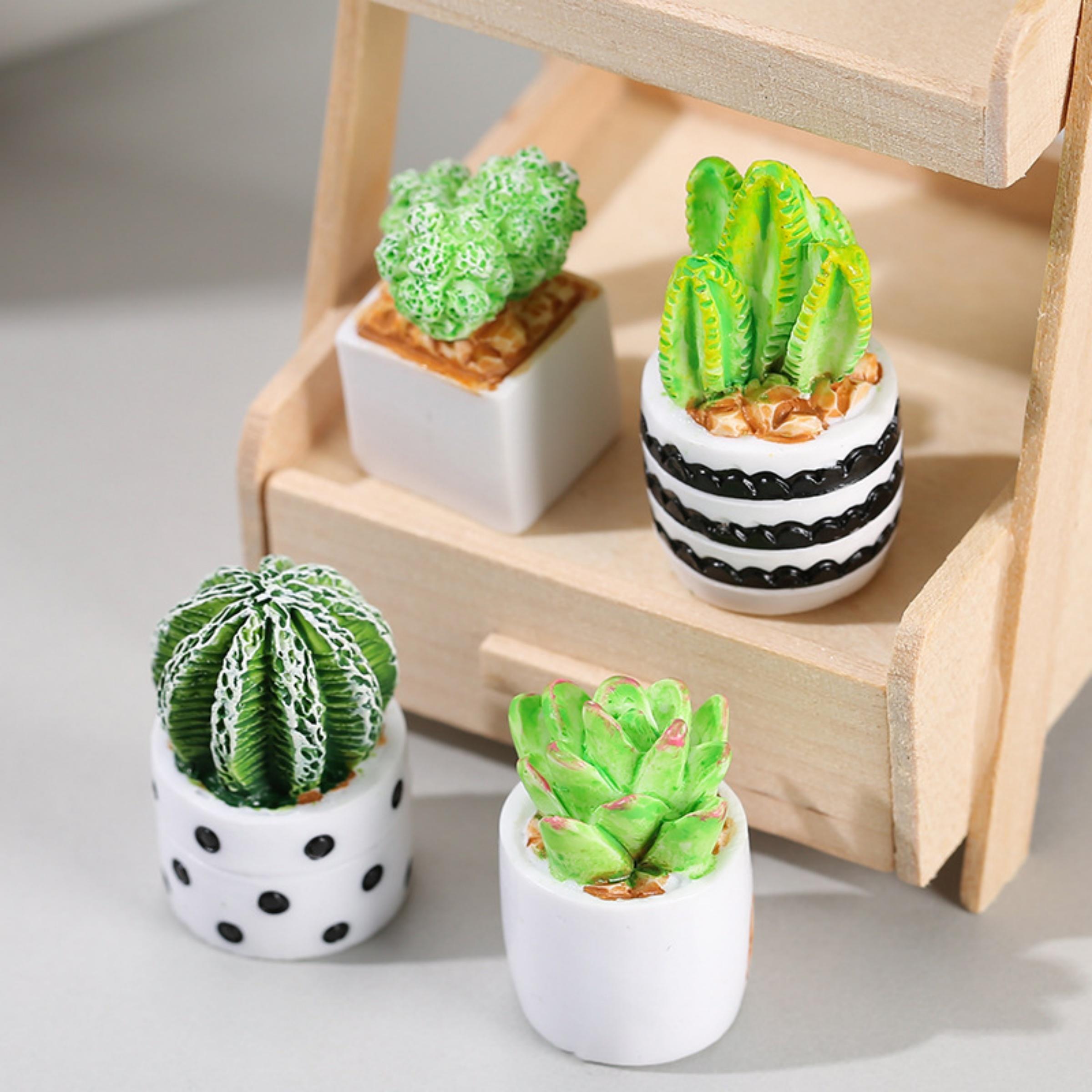 4-Piece Set of Cactus Succulen - Echeveria Succulent 리뷰 및 가격