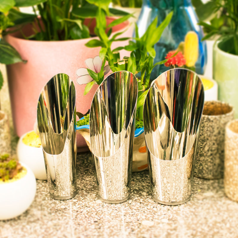 Stainless Steel Bucket Shovel  - Echeveria Succulent 리뷰 및 가격