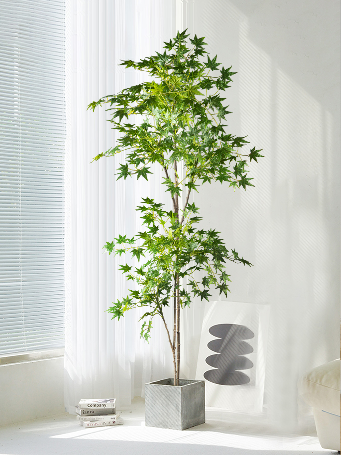 70-140cm Artificial Maple Tree - Dracaena Marginata 리뷰 및 가격
